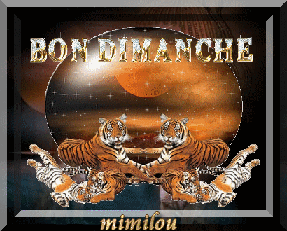 je vous souhaite un tres ...........